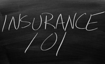 Life Insurance 101